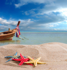 starfish on the beach in Thailand