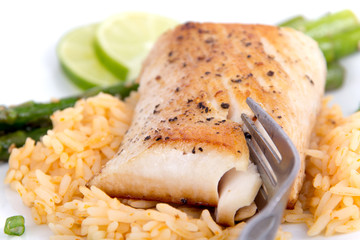 mahi mahi fillet cooked