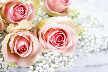 Beautiful pink roses and Gypsophila (Baby's-breath flowers)