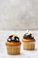 Chocolate cupcakes on wooden table. Copy space