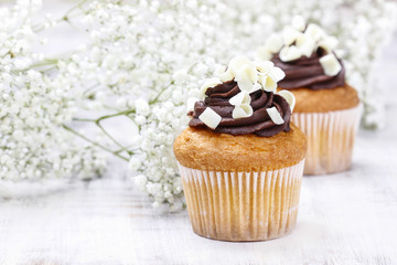 Chocolate cupcakes for wedding party. Baby's breath flower