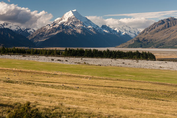 Mount Cook National Park