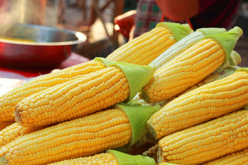 Sweet corn in the market