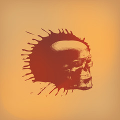 Skull. Vector format