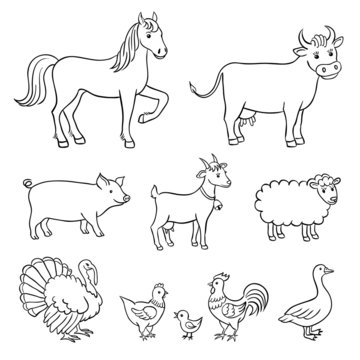 Farm animals in contours