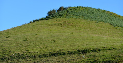 colline