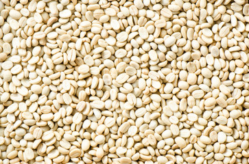 Arabica coffee background