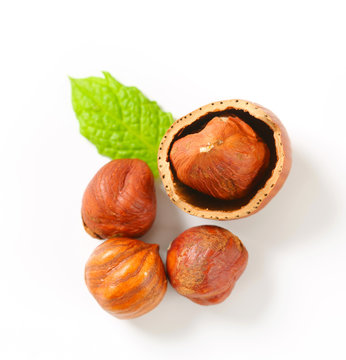 Fresh Hazelnuts