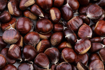 Esskastanien