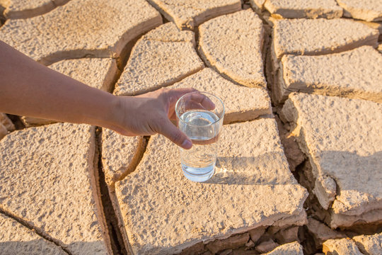 Male hand holding a glass of water over parched soil