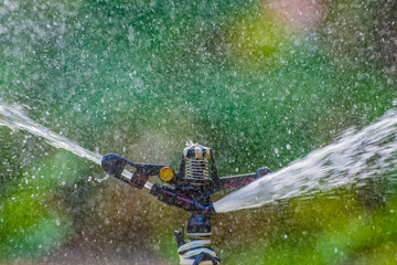 irrigation