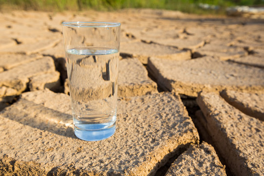 A Glass Of Water On Parched Soil
