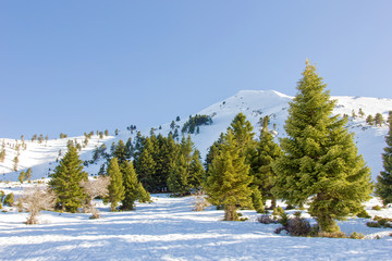 sunny day on the top of a mountain