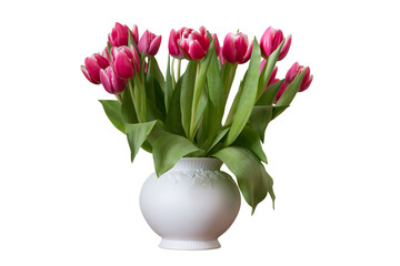 Tulpen in weißer Vase