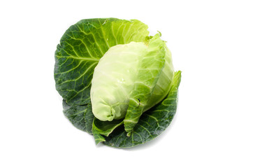 cabbage with green large leaves grows isolate on white backgroun