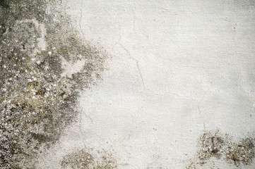 cement wall textured background