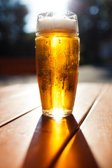 Glass of light beer, Background - blurred sunny forest. - 61808459