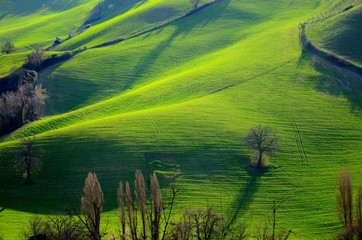 Colline verdi in campagna