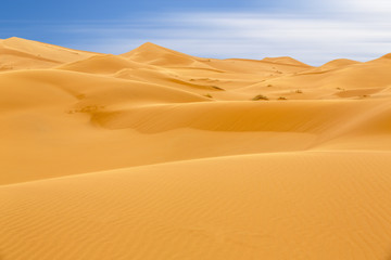 Fototapeta na wymiar Wüste Erg Chebbi, Maroko