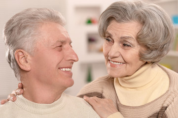 Portrait of a happy senior couple