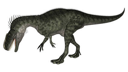 Obraz na płótnie Canvas Dinosaur Monolophosaurus