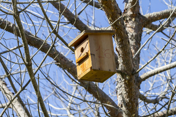 Bird-box.Bird house on the tree  in the summer woods