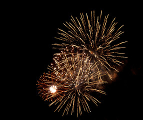 Fototapeta premium Fireworks