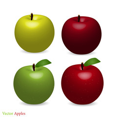 Apples, Vector Illustration