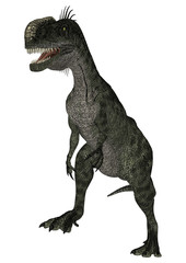 Dinosaur Monolophosaurus