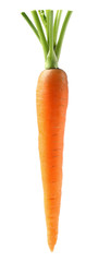 Fresh carrot