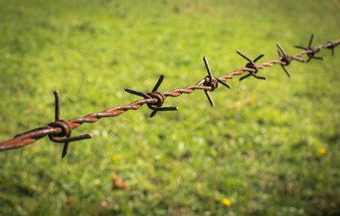 Rostiger Stacheldrahtzaun auf Wiese
