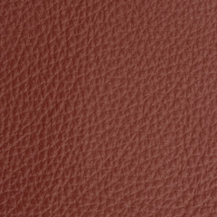 leather macro shot