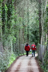 tree lined road with two walkers with red coats