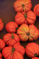 Tomatoes at a Provencal market