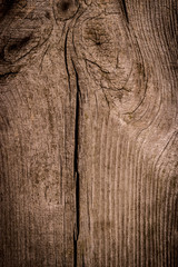 Obraz premium The wood texture with natural patterns