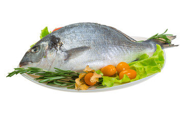 Raw dorada