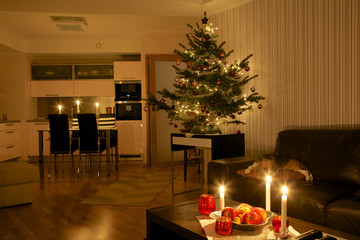 Christmas tree in apartment