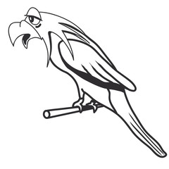 Vogel witzig Tier Cool Natur Comic