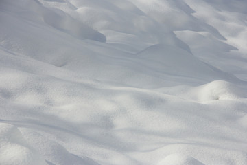 Winter Snowfield