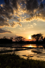 Obraz premium Sunset landscape on water field