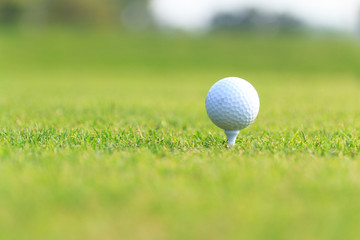 Golf ball on green grass