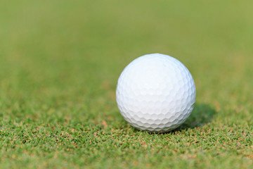 Golf ball on green grass