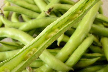 Fave nel baccello sul tavolo