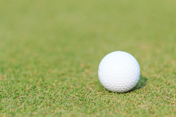Golf ball on green grass