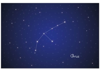 Fototapeta na wymiar Constellation Grus