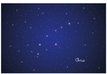 Obraz premium Constellation Grus