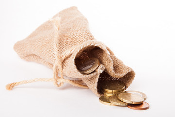 The Bag With Money isolated