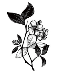 Tea plant