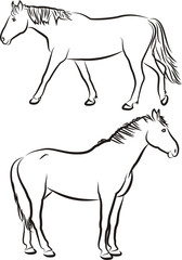 horses - outlines