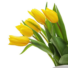 Flower bouquet from yellow tulips in vase isolated on white back